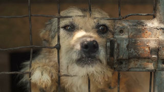 Inspiruj%%C4%%99 do nauki 4